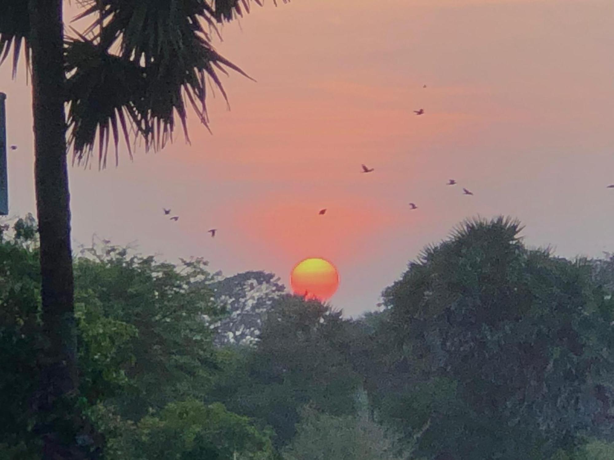 Sunset View Beach Hotel Arugam Bay Bagian luar foto
